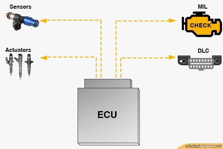 Tìm hiểu về USB-II:Tính năng, hạn chế và cách sử dụng thực tế 