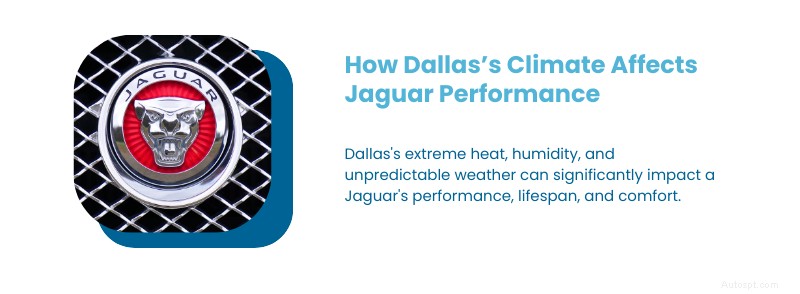 Hướng dẫn bảo dưỡng Jaguar cơ bản cho Dallas, TX:Lời khuyên của chuyên gia &Chăm sóc địa phương 