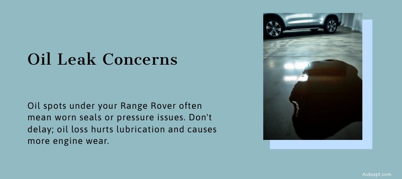 Sửa chữa Range Rover Dallas:Chuyên gia đáng tin cậy cho các vấn đề thường gặp &Dịch vụ cao cấp 