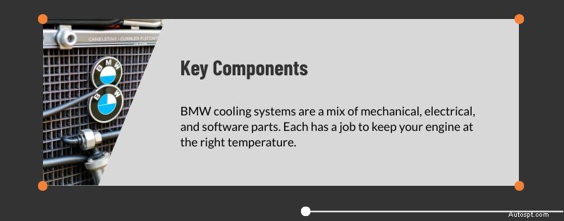 Dịch vụ hệ thống làm mát BMW chuyên nghiệp tại Dallas &Plano, TX 