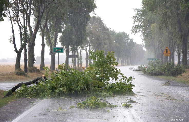 Tránh các mối nguy hiểm trên đường:Bảo vệ bản thân và phương tiện của bạn khỏi những chướng ngại vật nguy hiểm 