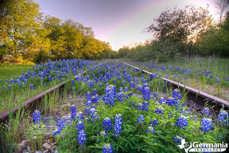 Discover Texas  10 Most Instagram‑Perfect Destinations 