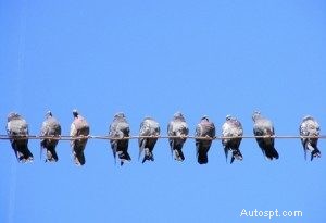 5 mối đe dọa đối với lớp sơn ô tô của bạn ở Scottsdale (và cách giữ cho nó sáng bóng) 