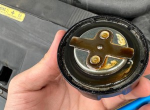Chất trắng đục dưới nắp dầu của bạn có ý nghĩa gì? 