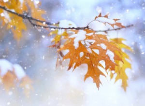 Thời điểm lốp mùa đông:Lời khuyên của chuyên gia để chuyển đổi theo mùa an toàn 